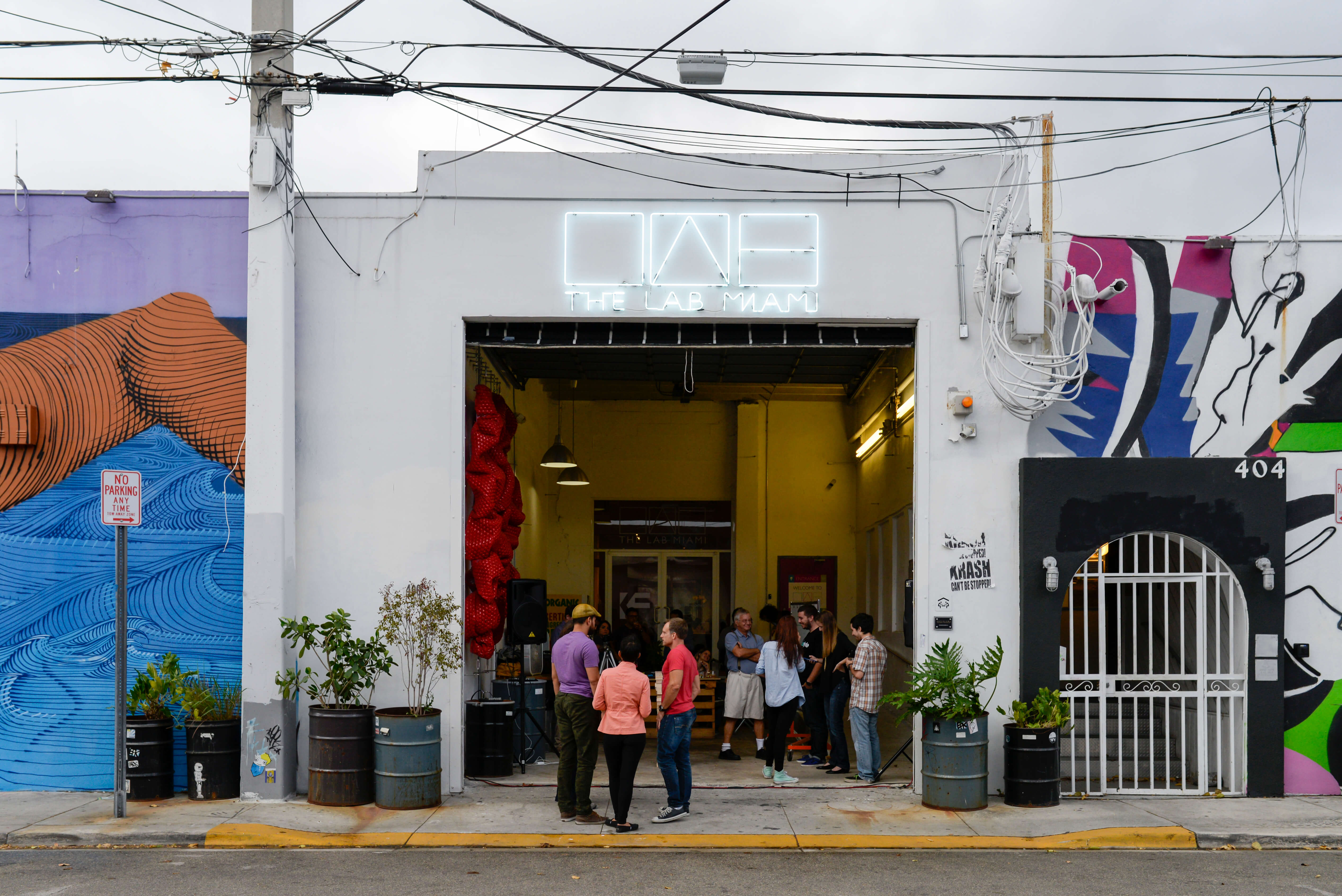 Dark Matter Collective members coworking (photo 1)